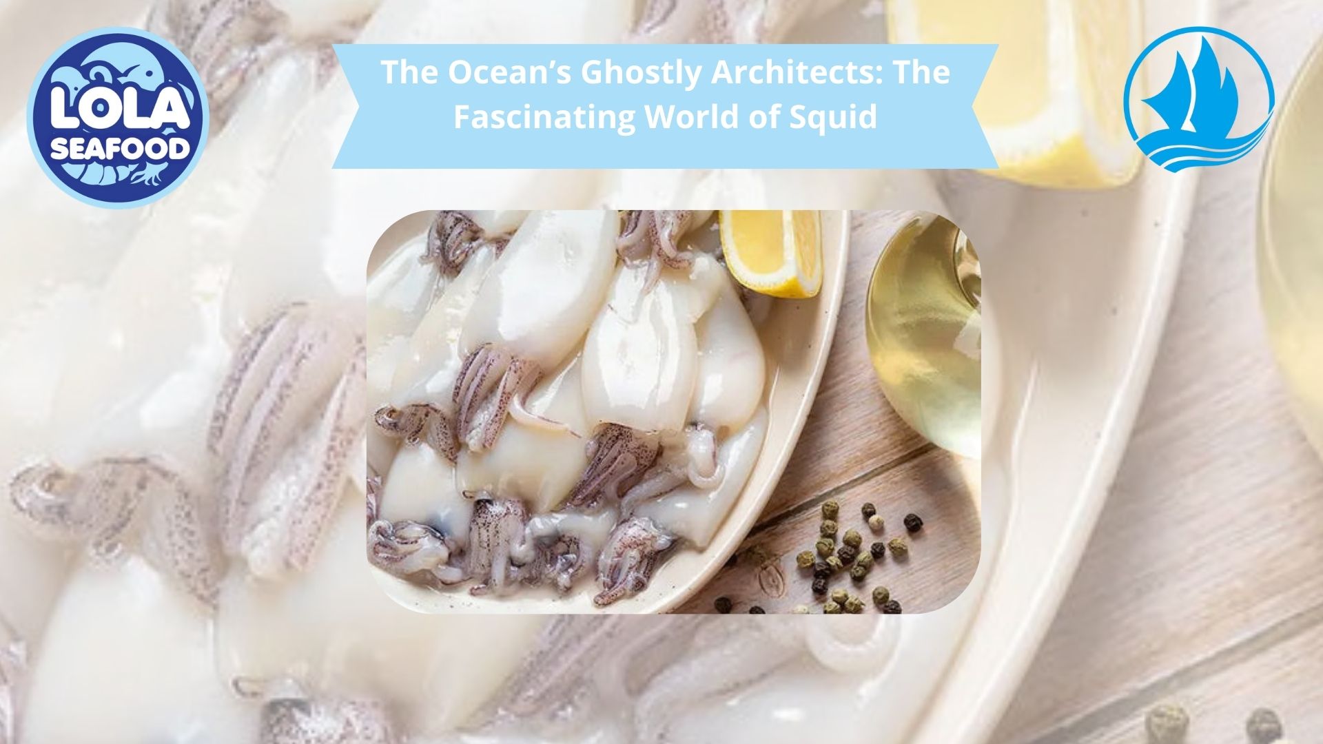 The Ocean’s Ghostly Architects: The Fascinating World of Squid